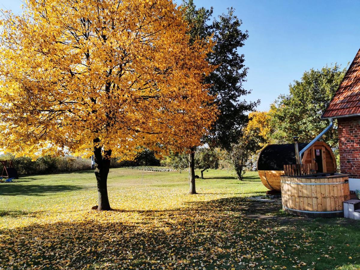 Agroturystyka Ginkgo Sulislaw  外观 照片